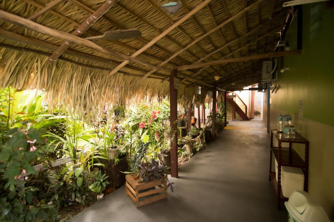 אלטר דו צ'או Hostel Coracao Verde מראה חיצוני תמונה